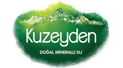 KUZEYDEN