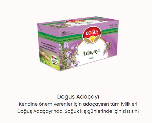 DOĞUŞ ADAÇAYI (20AD)